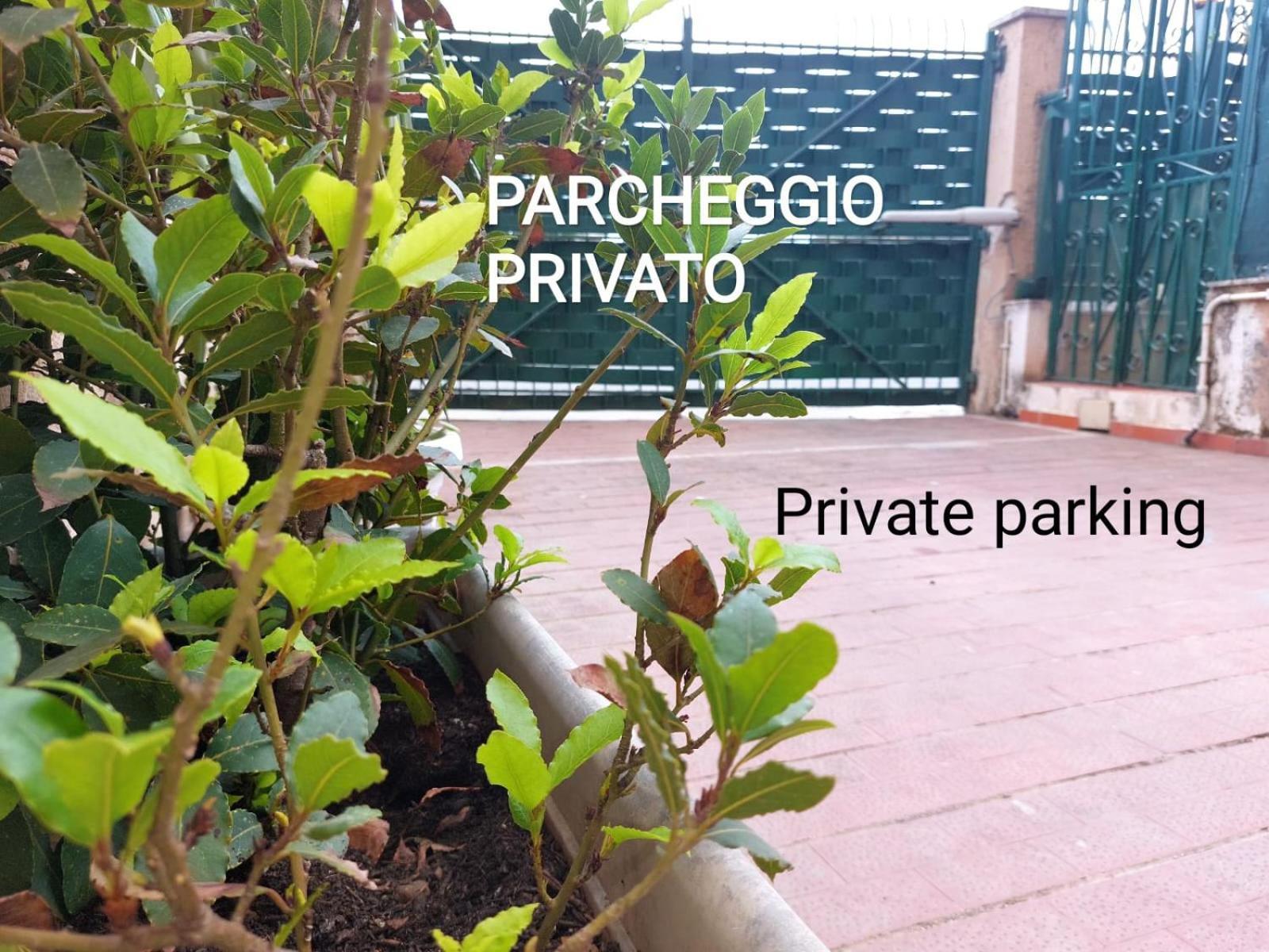 パレルモArt And Gardenアパートメント エクステリア 写真